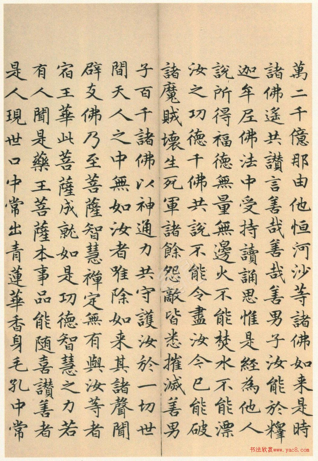 ����巿��顶��������ᡷ������
