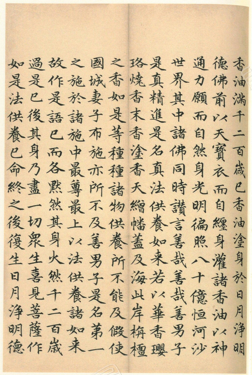 ����巿��顶��������ᡷ������