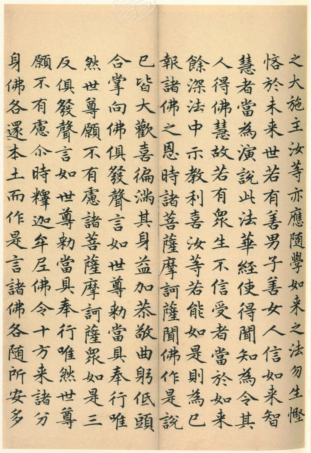 ����巿��顶��������ᡷ������