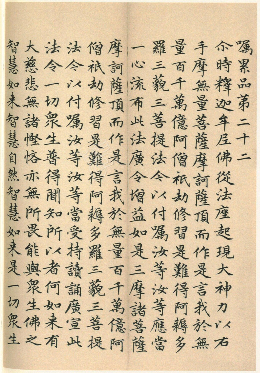 ����巿��顶��������ᡷ������