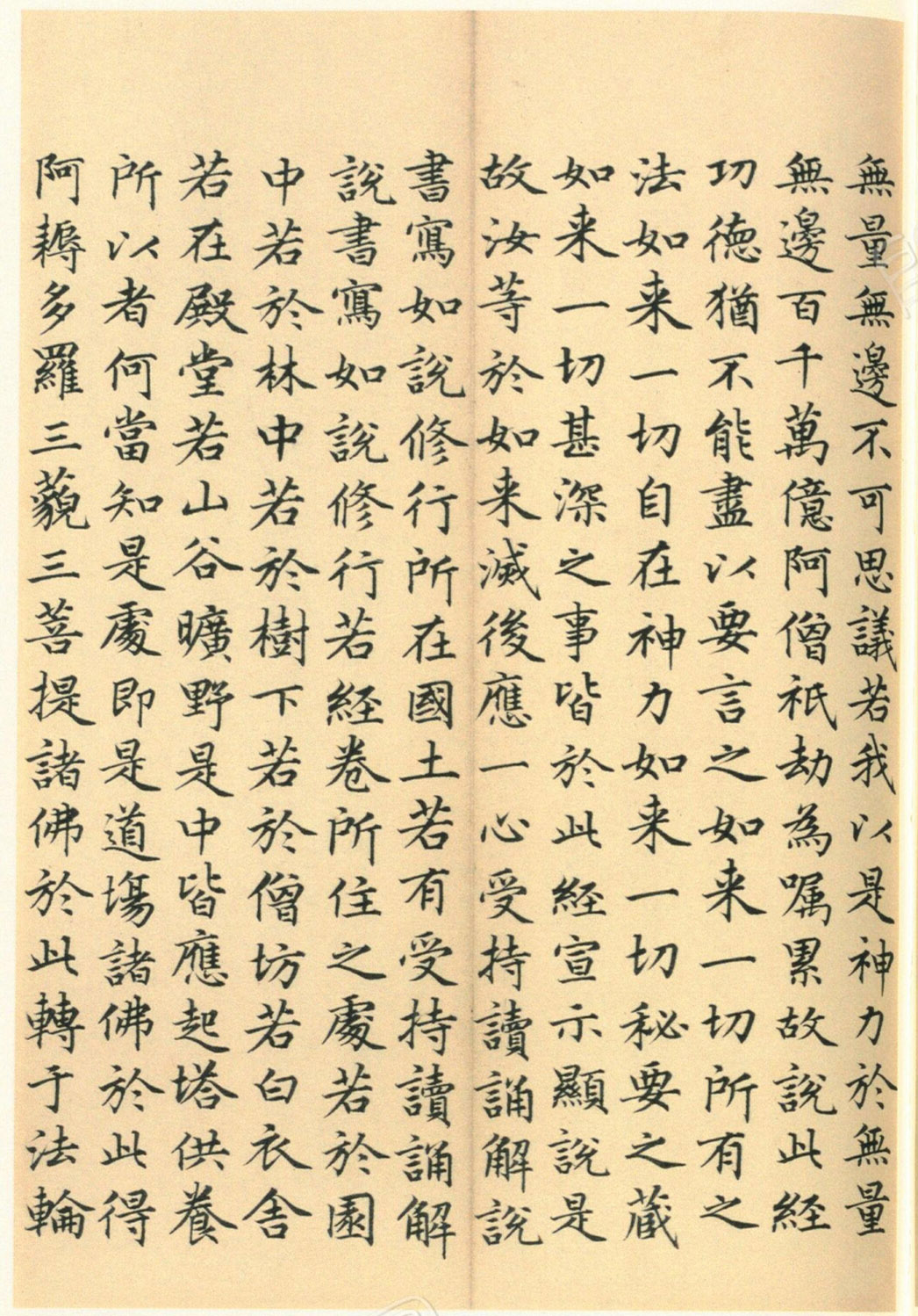 ����巿��顶��������ᡷ������