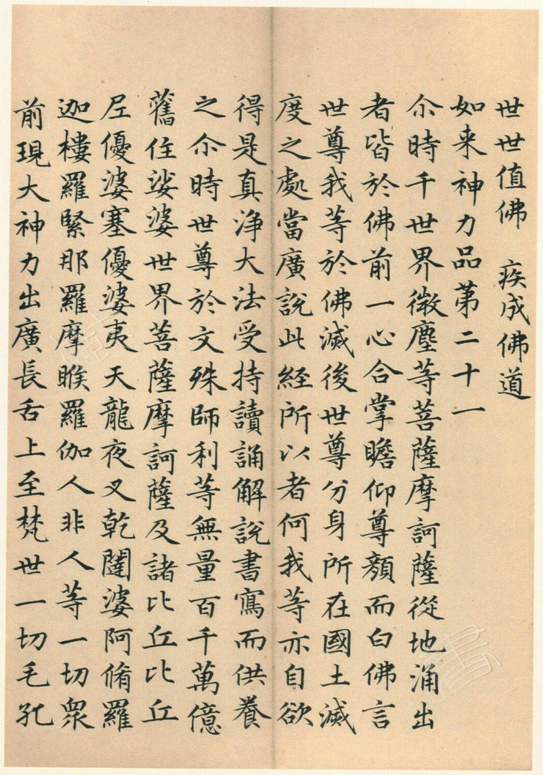 ����巿��顶��������ᡷ������