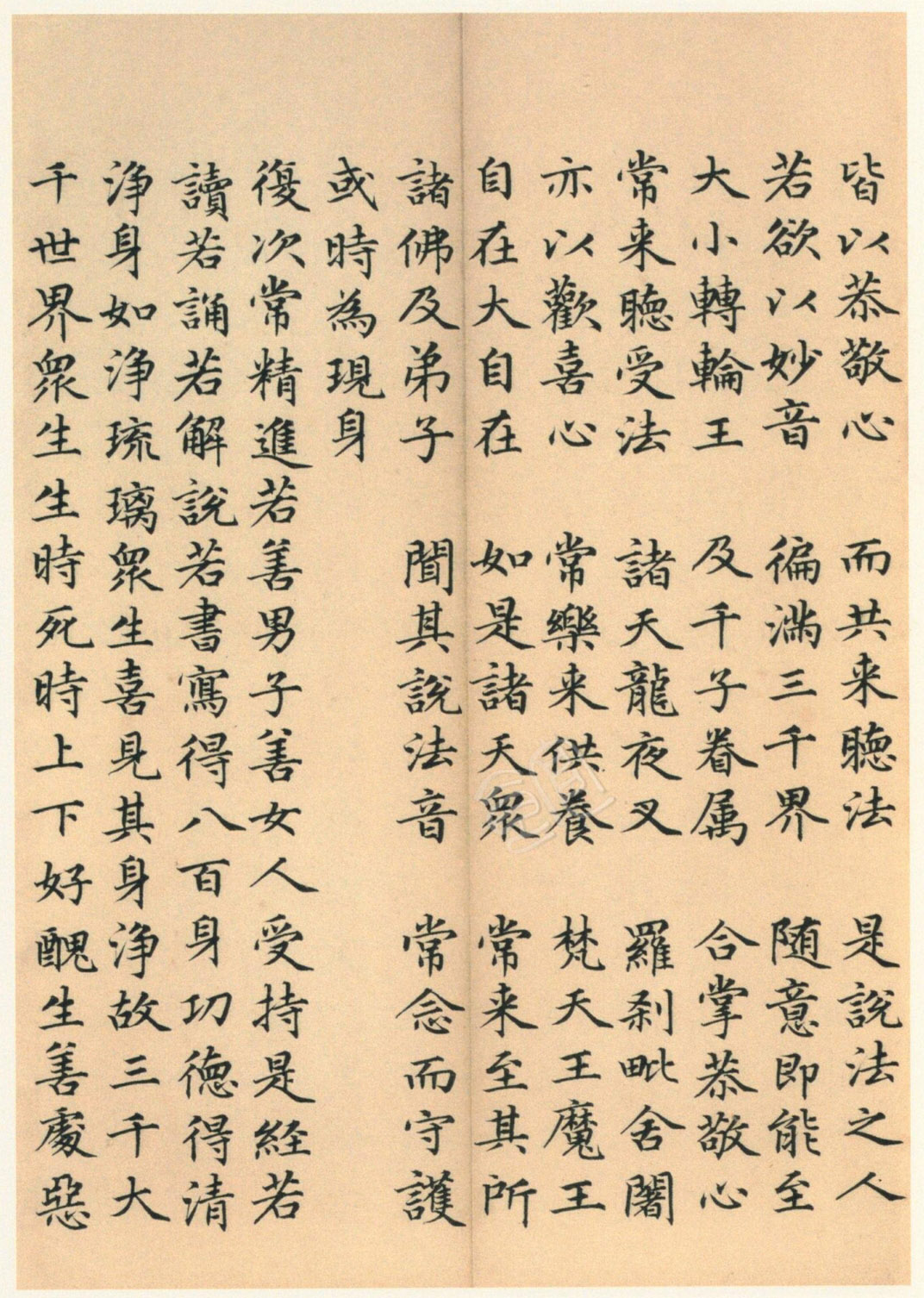 ����巿��顶��������ᡷ������