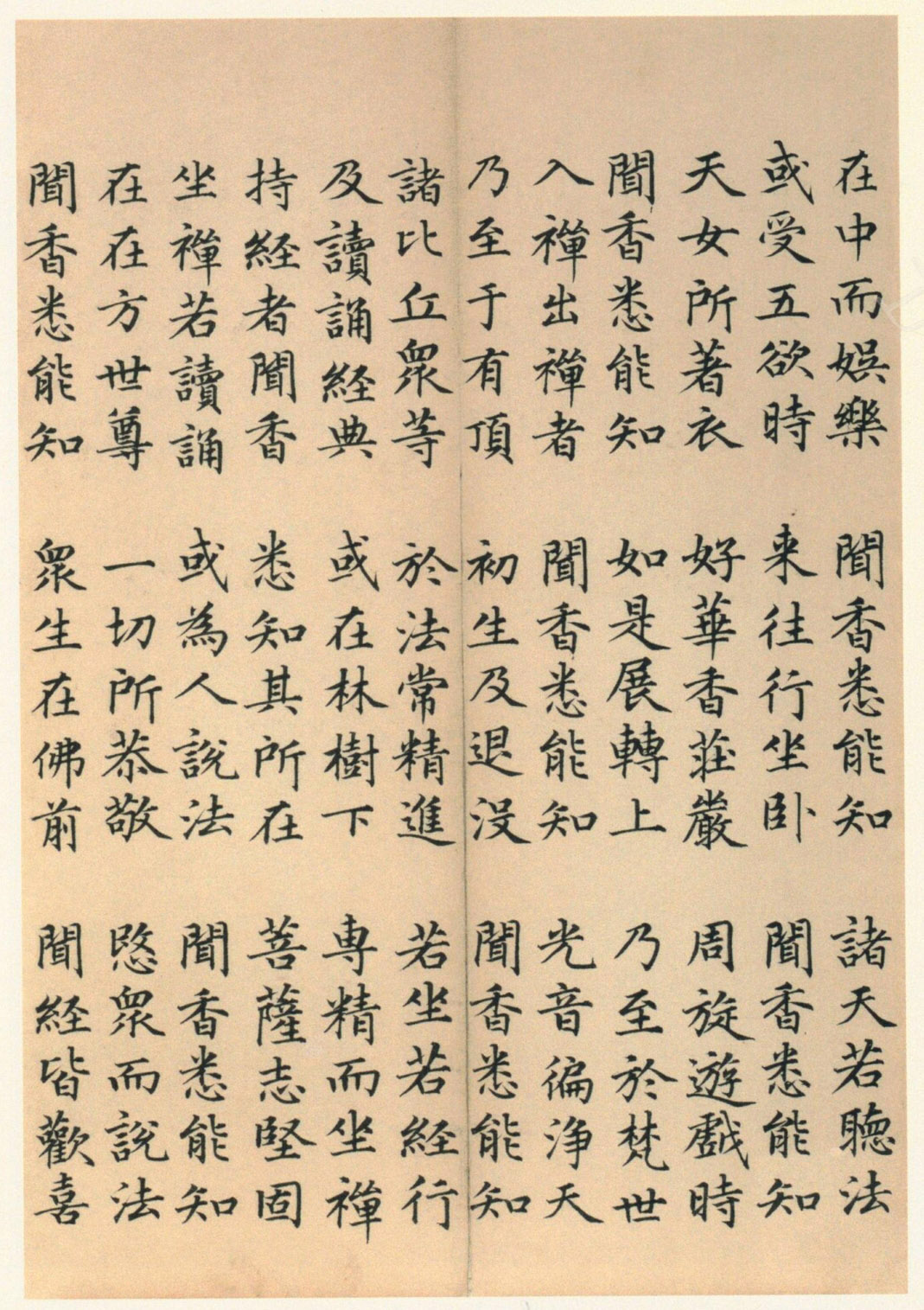 ����巿��顶��������ᡷ������