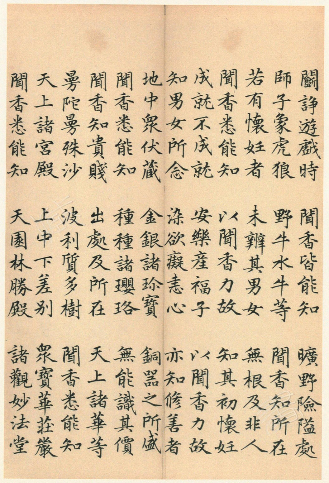����巿��顶��������ᡷ������
