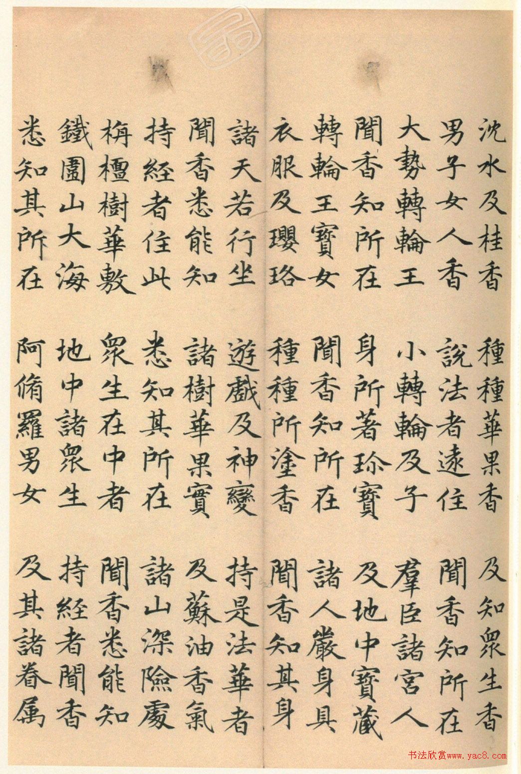 ����巿��顶��������ᡷ������