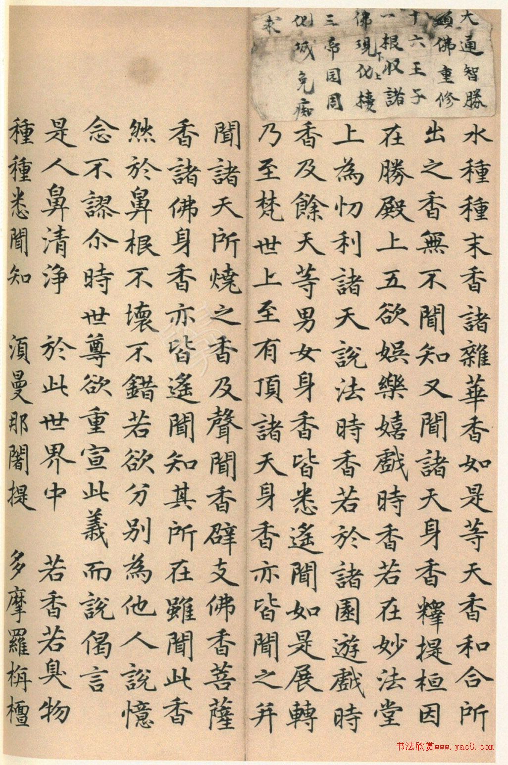 ����巿��顶��������ᡷ������