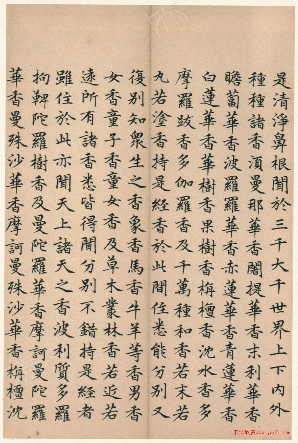 ����巿��顶��������ᡷ������
