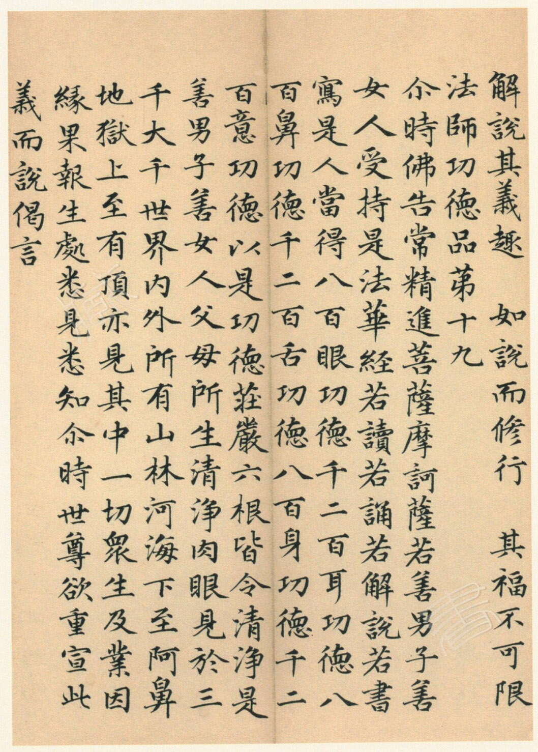 ����巿��顶��������ᡷ������