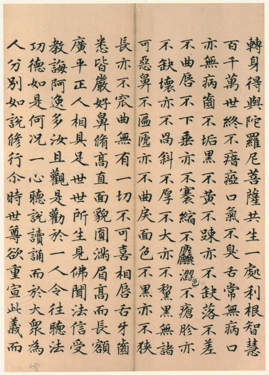 ����巿��顶��������ᡷ������