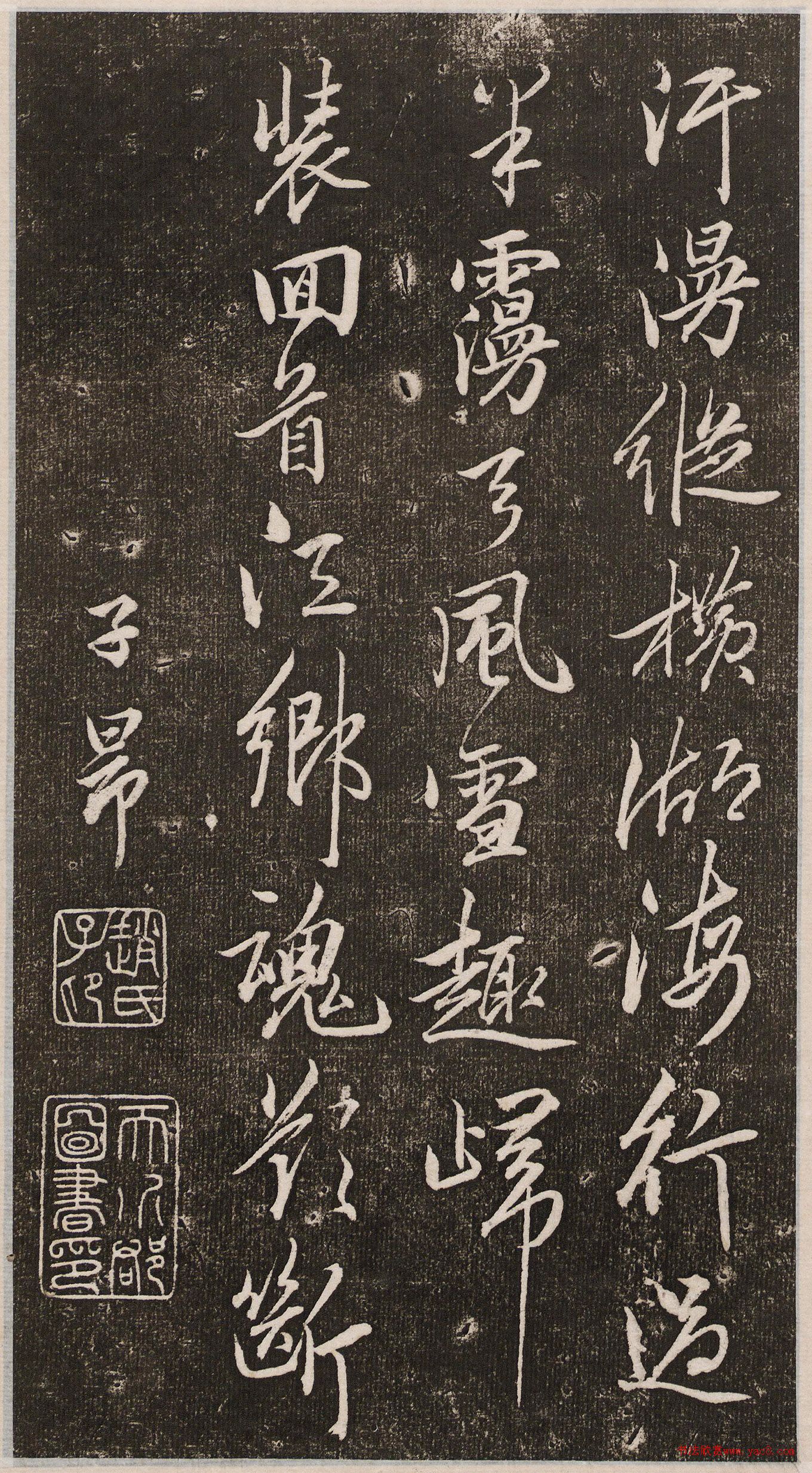 �����\���顶���̫��������