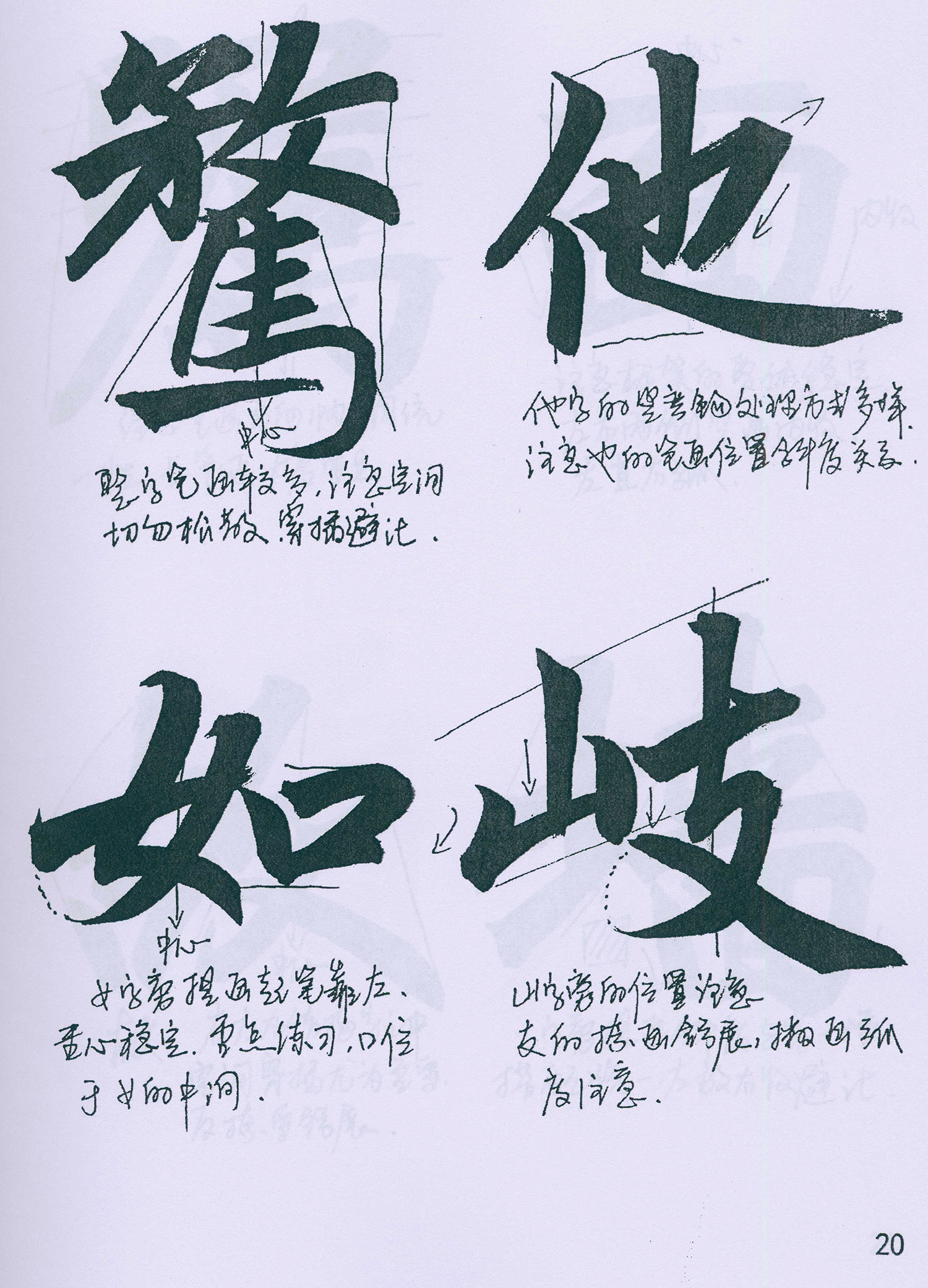 �����\���顶���żǡ���ѧ�ָ�