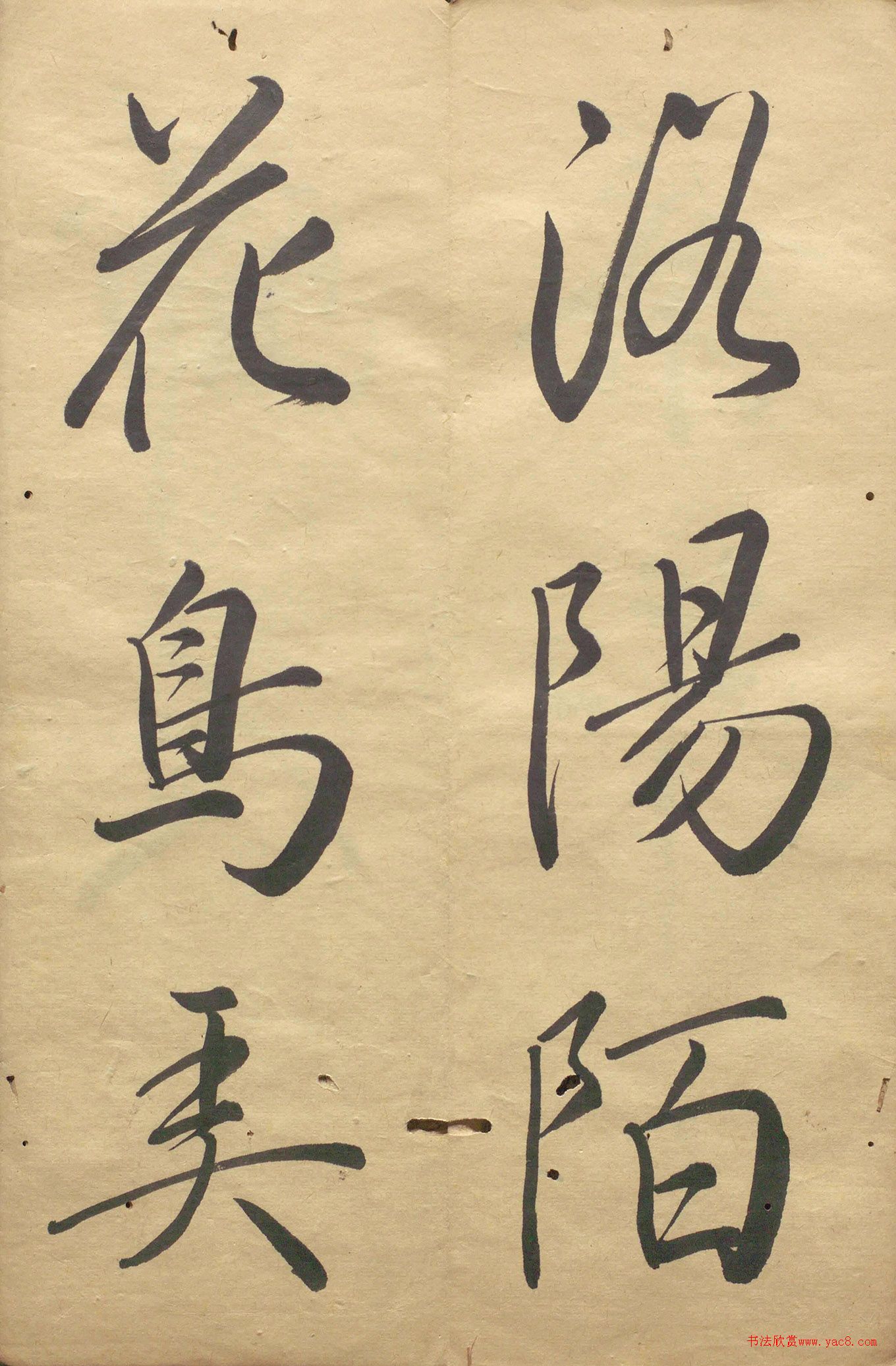 �ձ���������顶��������