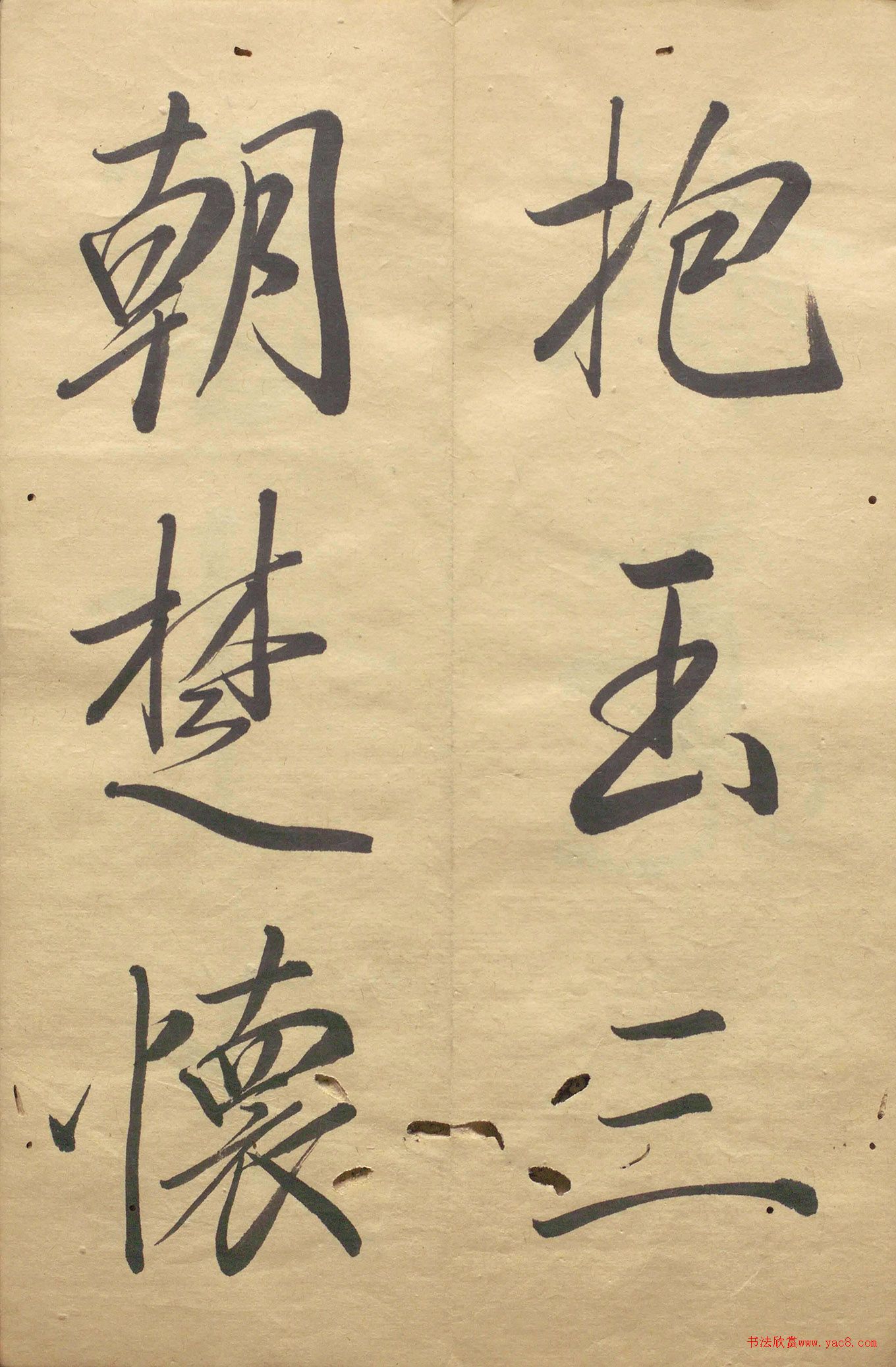 �ձ���������顶��������