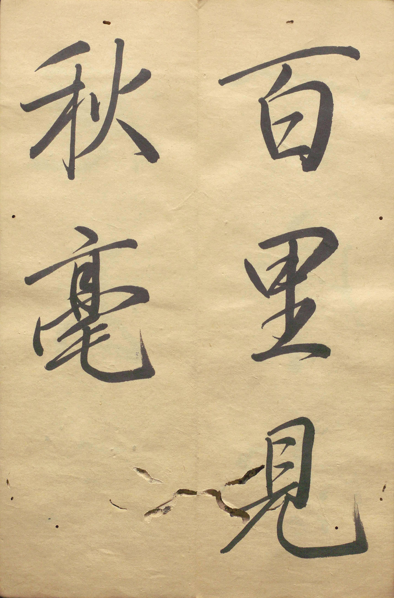 �ձ���������顶��������