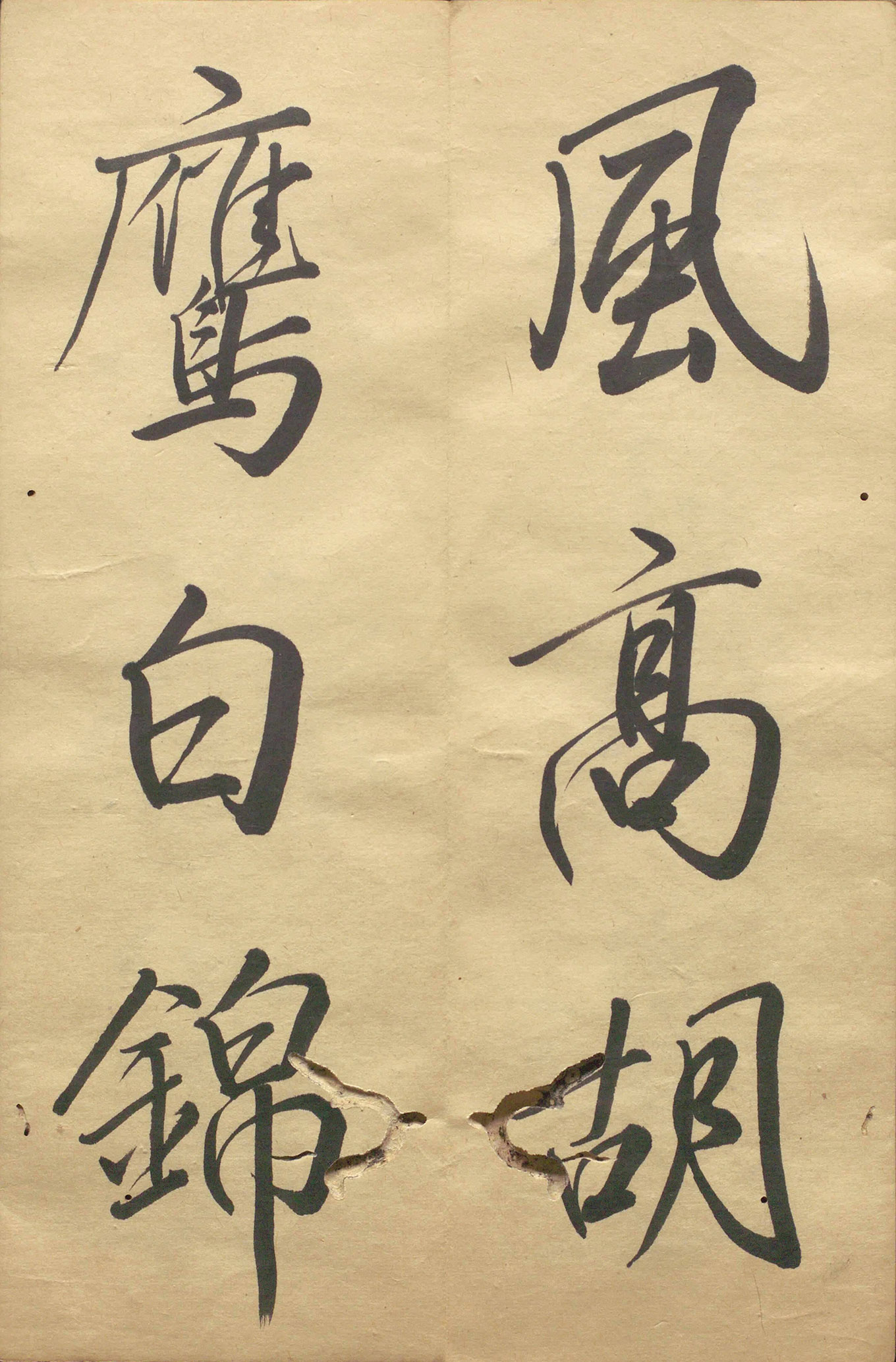 �ձ���������顶��������