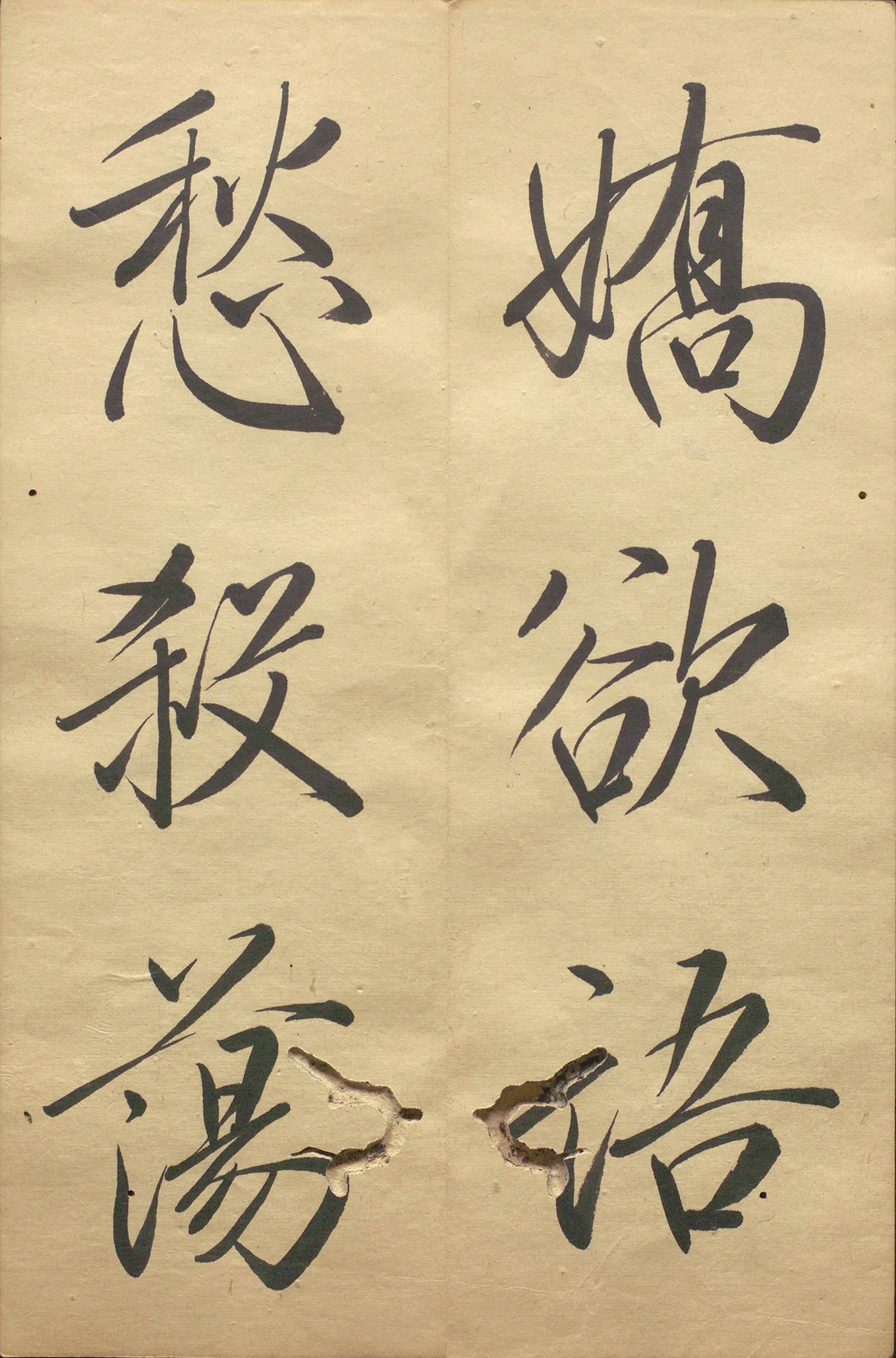 �ձ���������顶��������