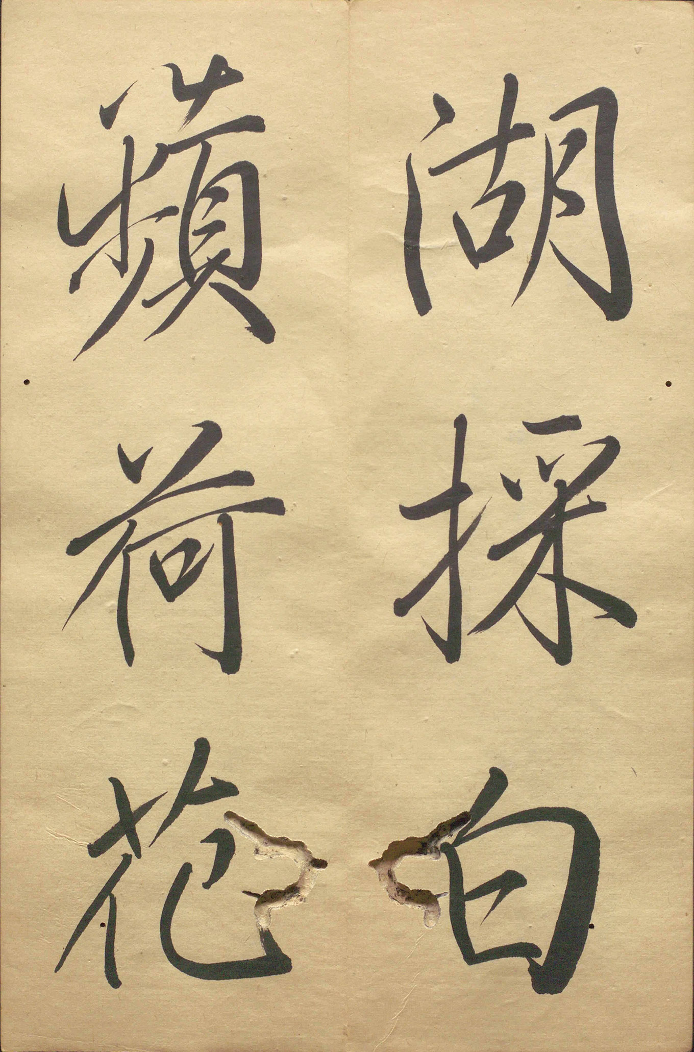 �ձ���������顶��������