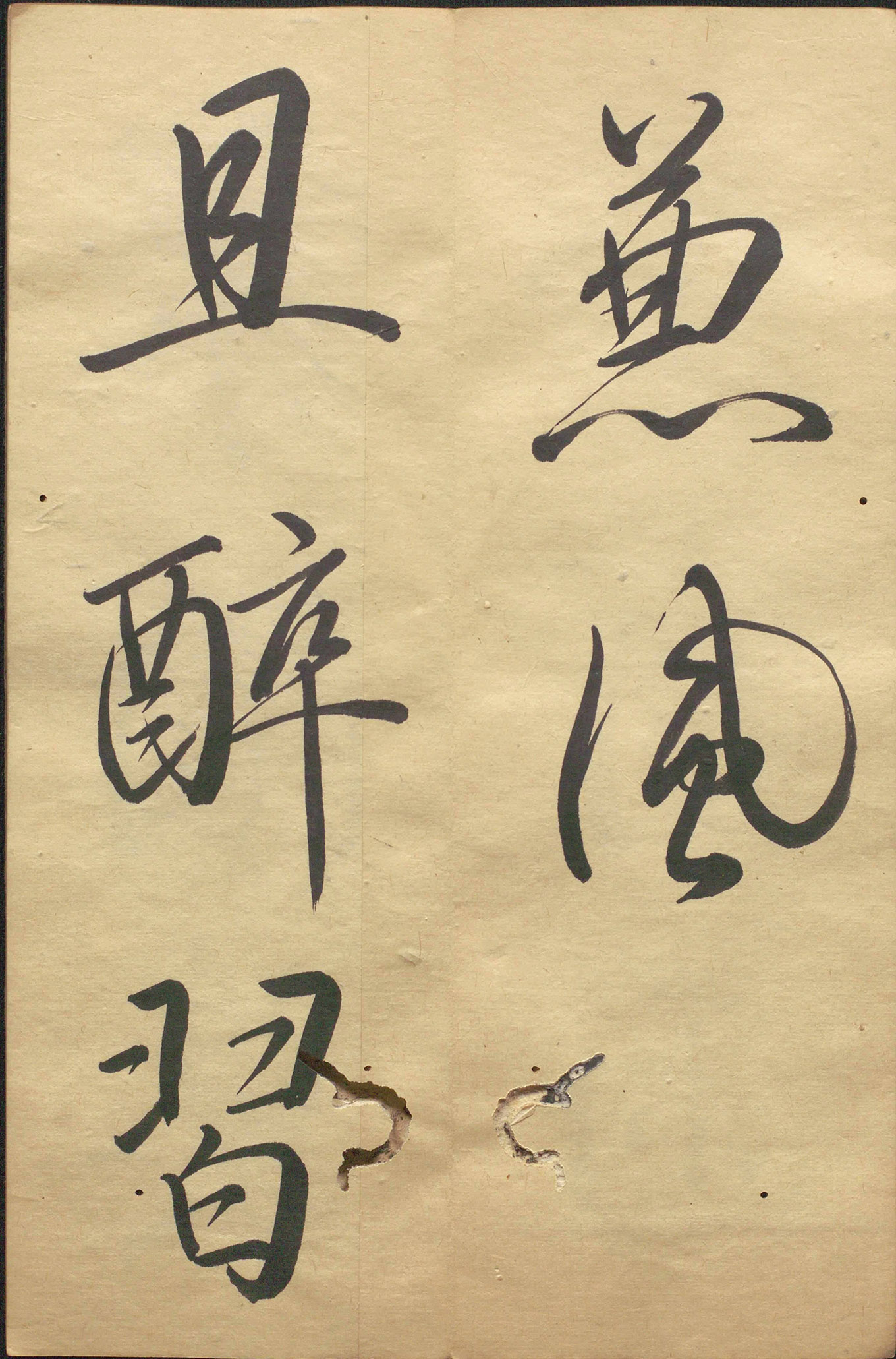 �ձ���������顶��������