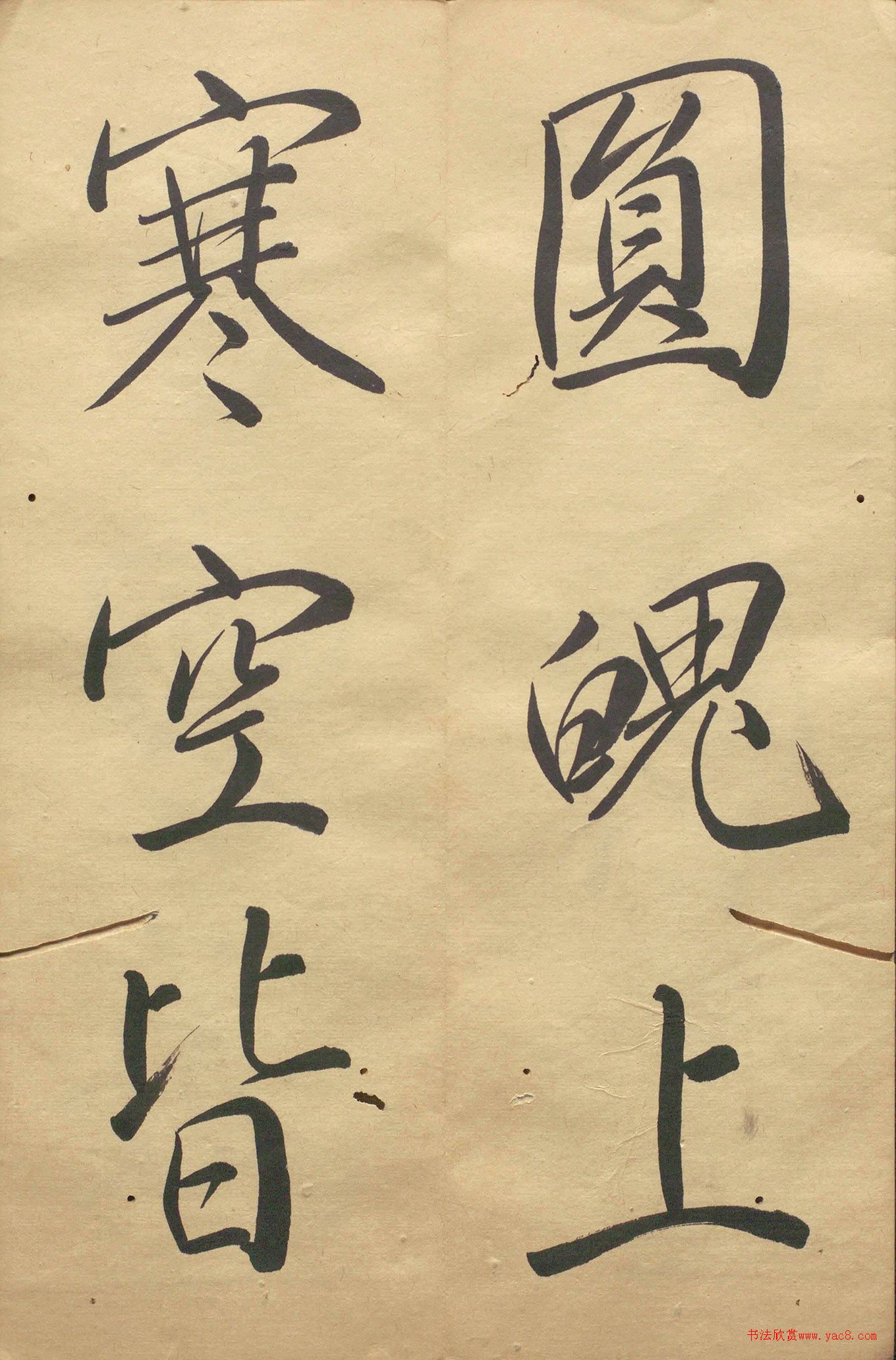 �ձ���������顶��������