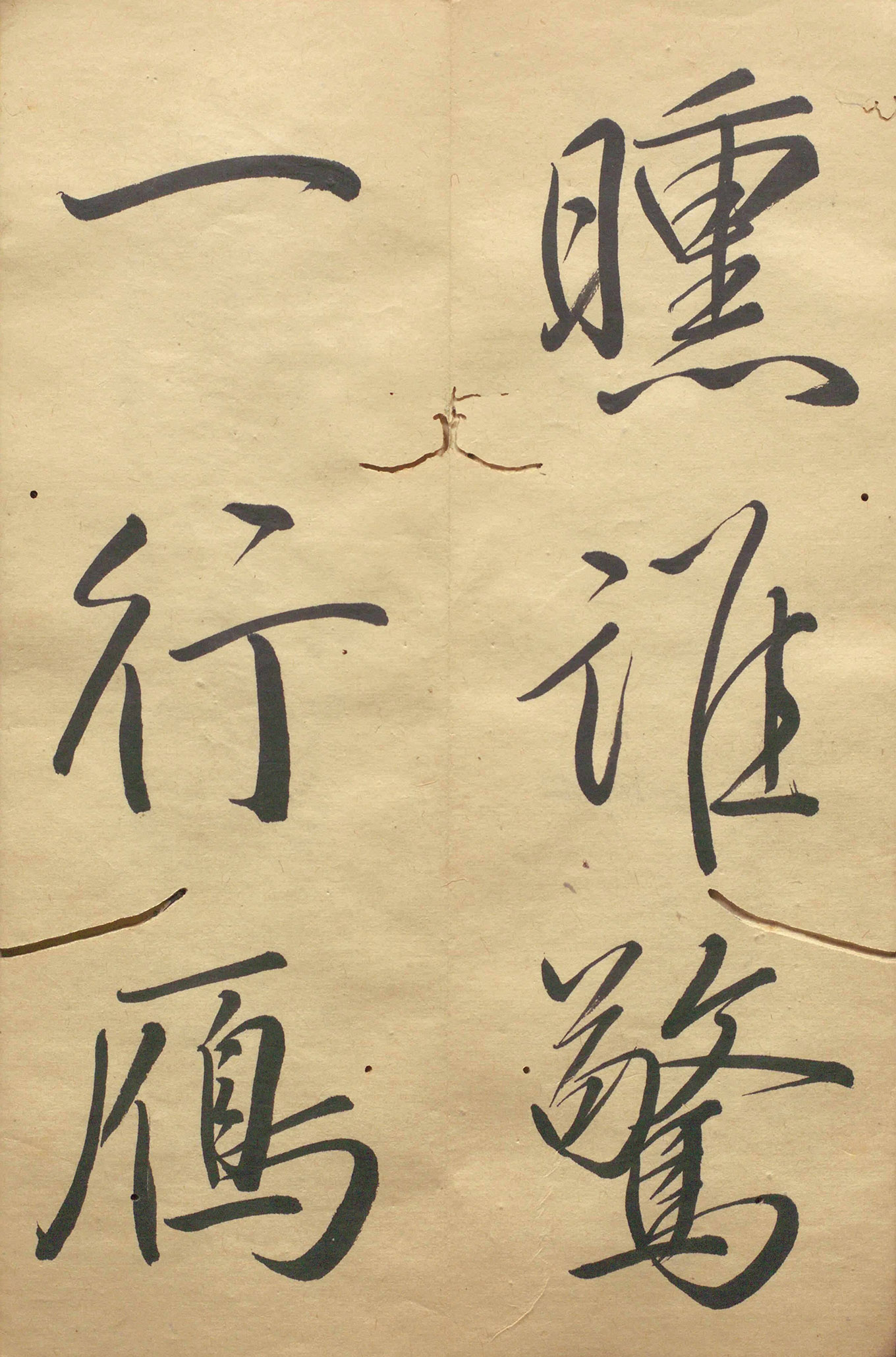 �ձ���������顶��������