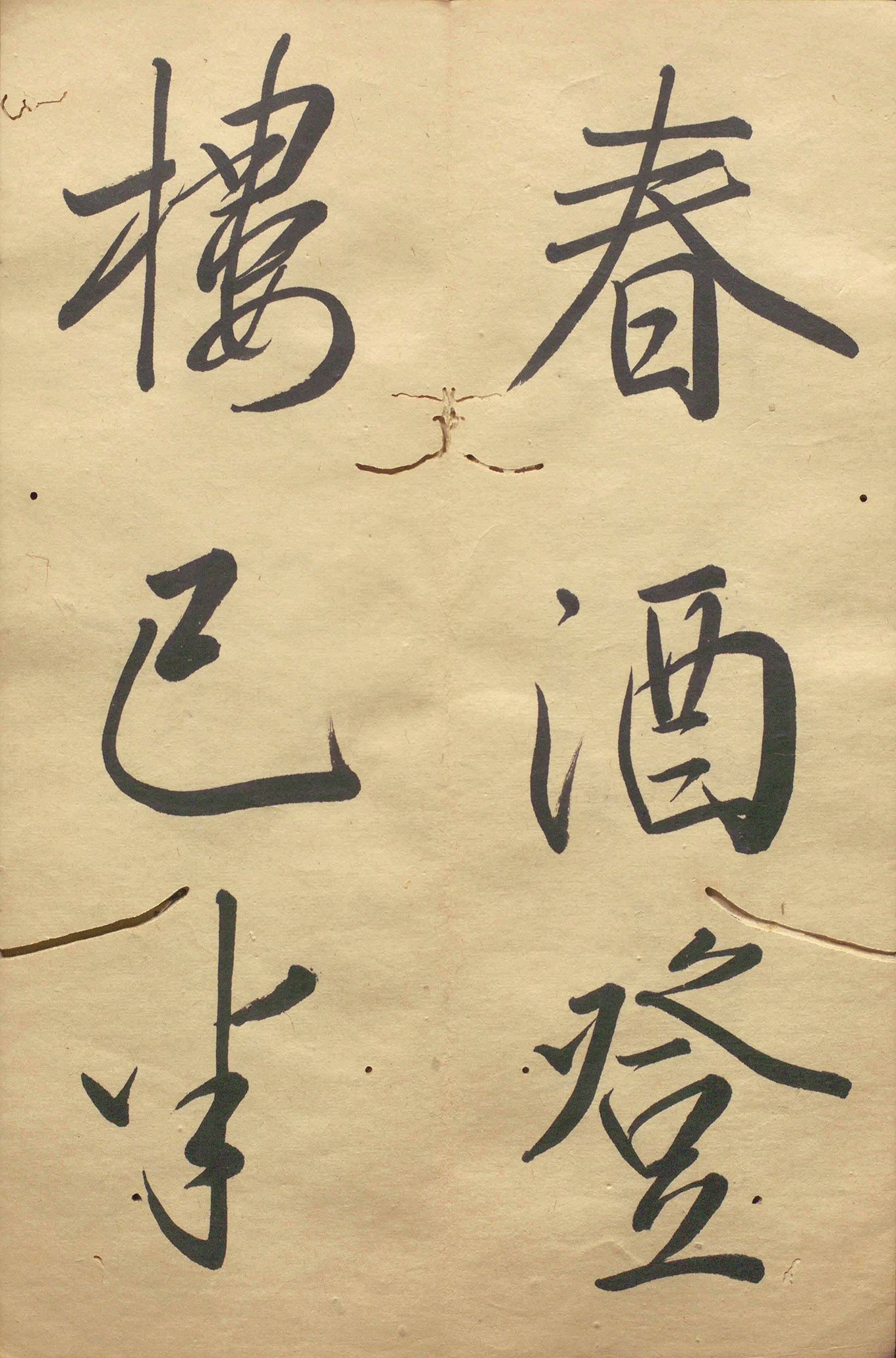 �ձ���������顶��������