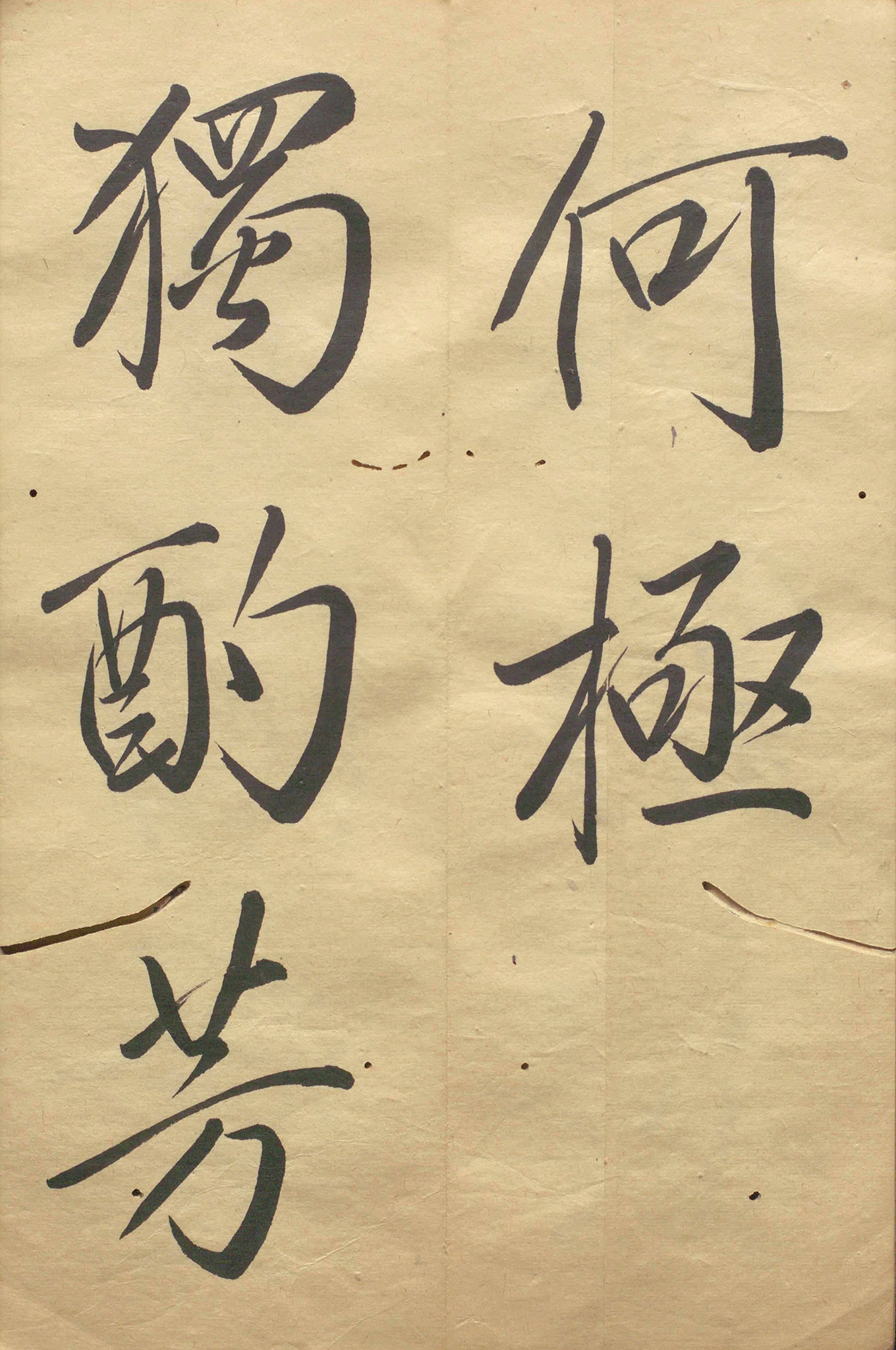 �ձ���������顶��������