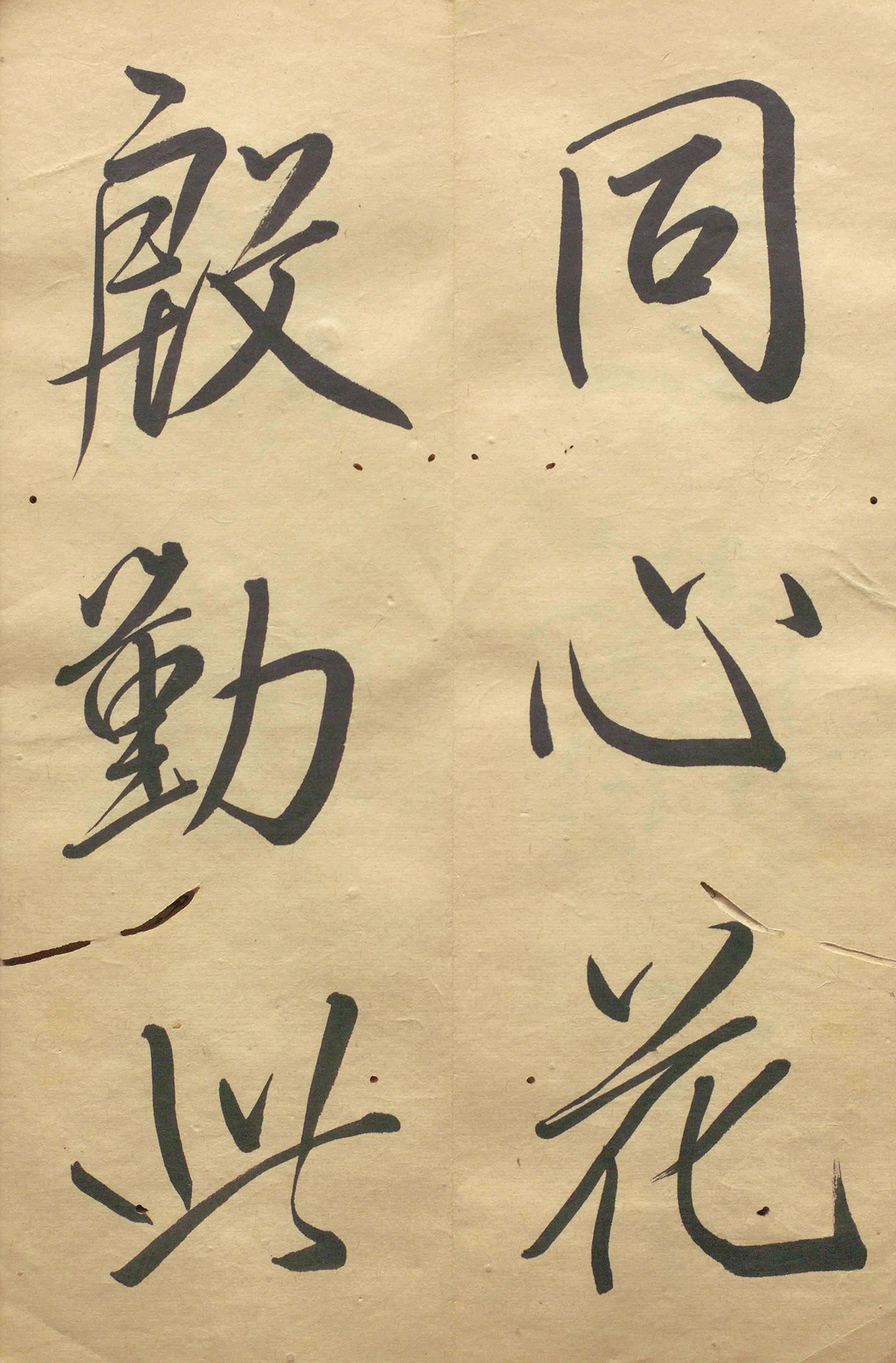 �ձ���������顶��������
