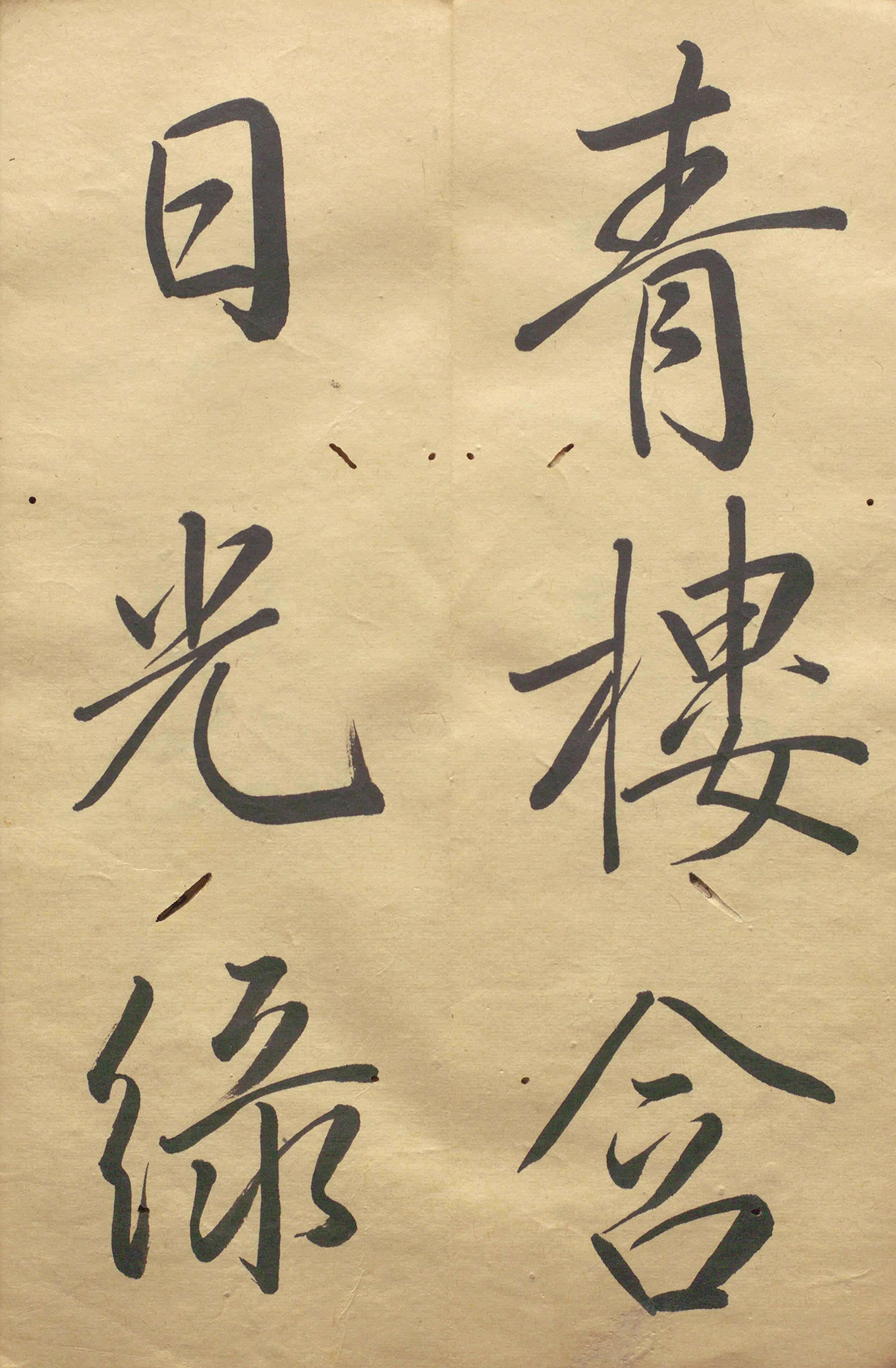 �ձ���������顶��������