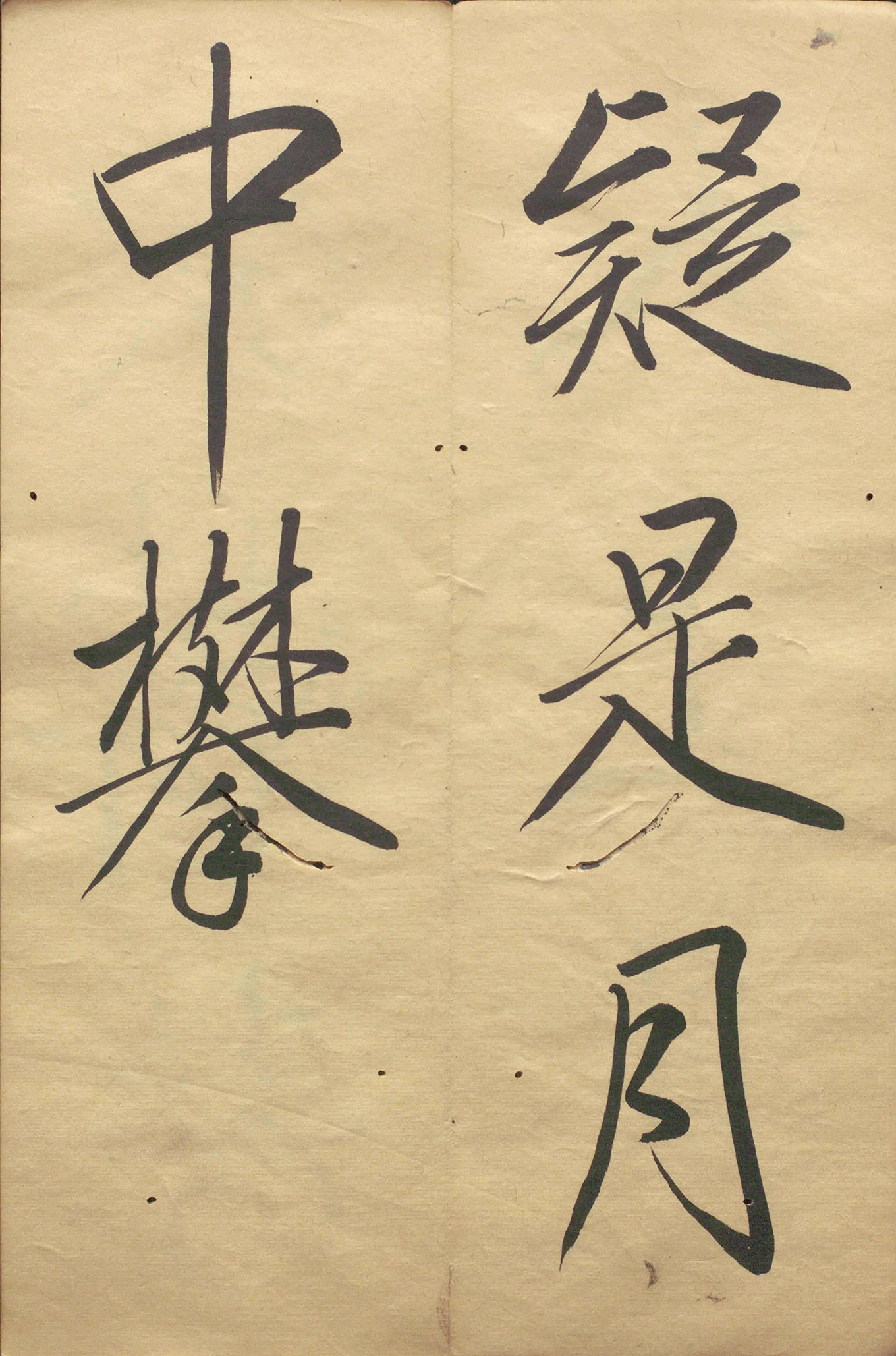 �ձ���������顶��������
