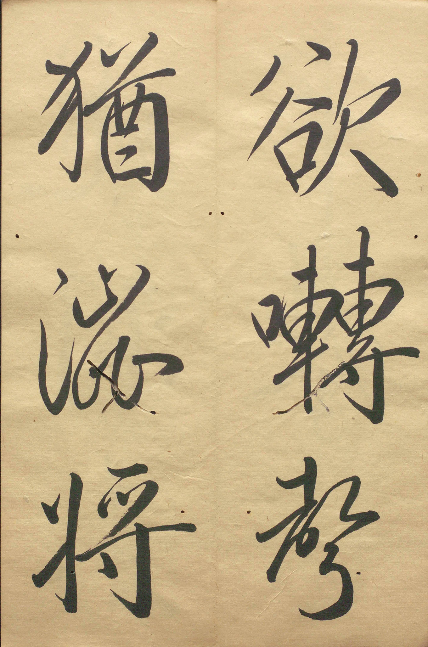 �ձ���������顶��������