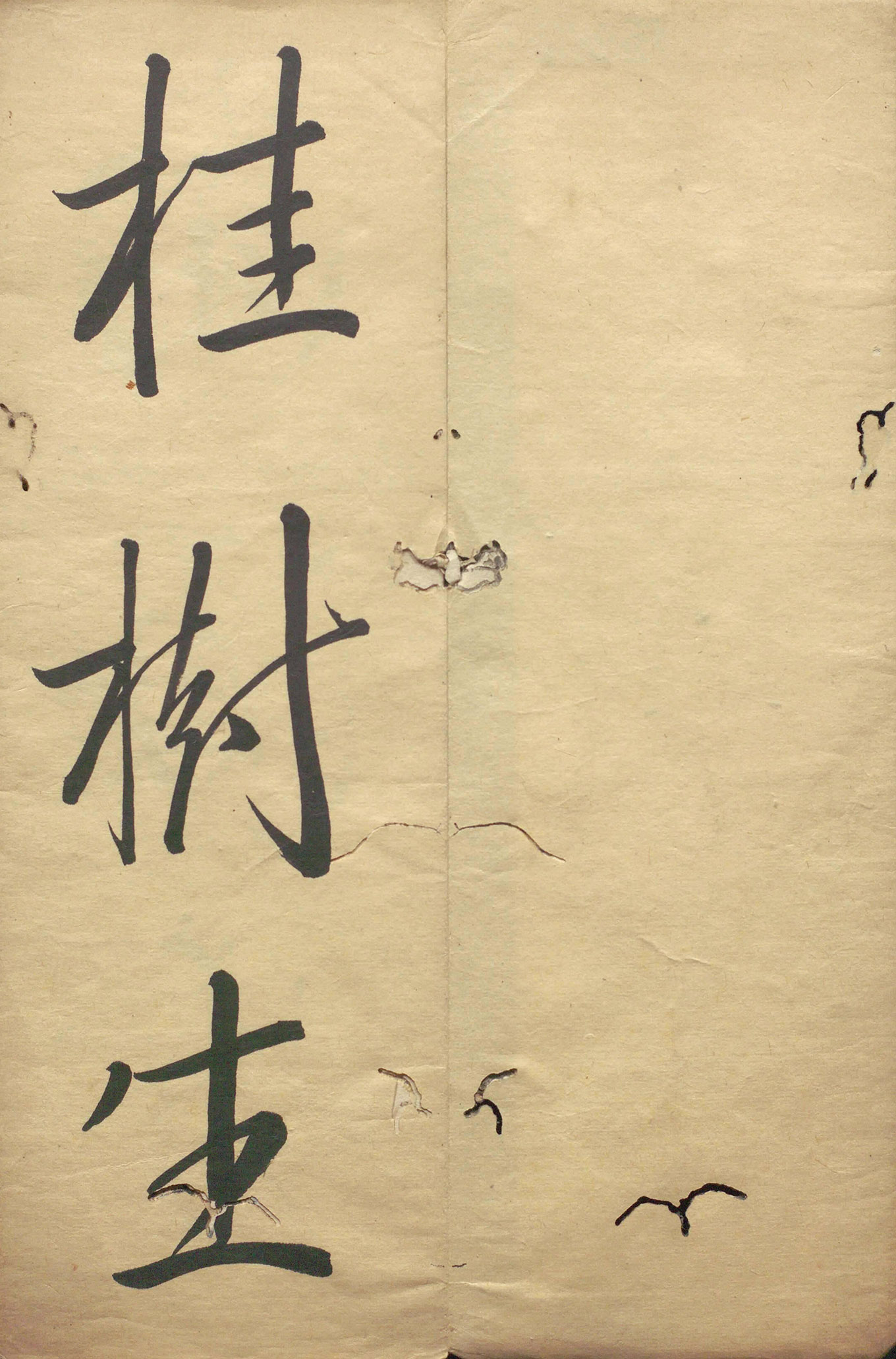 �ձ���������顶��������