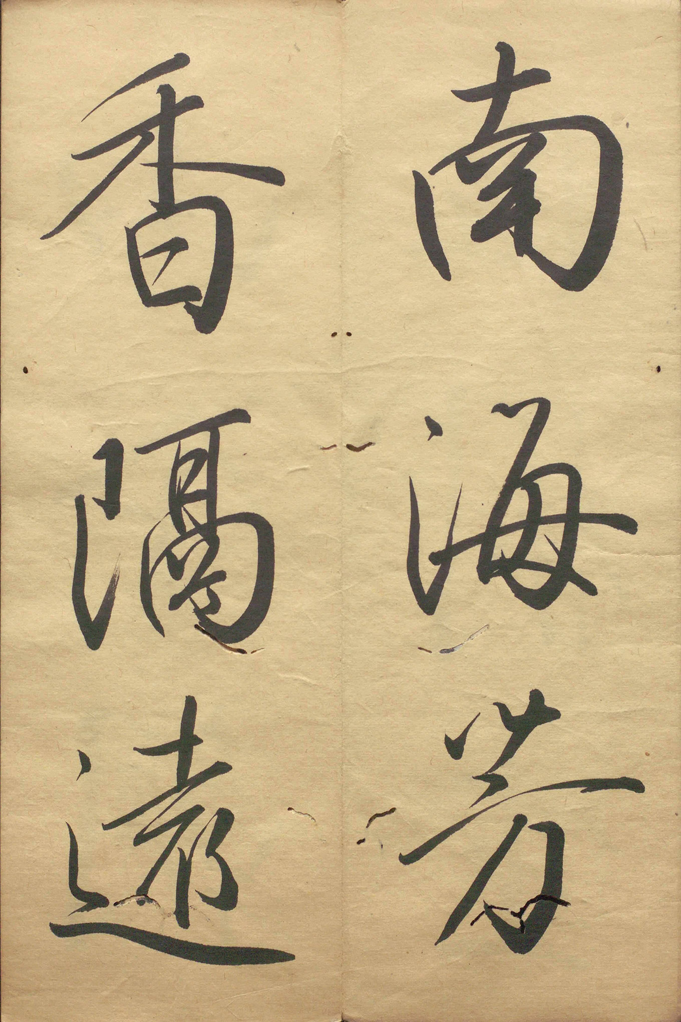 �ձ���������顶��������
