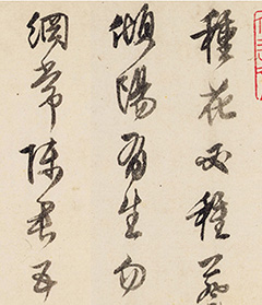 文徵明34岁行草书《葵花诗》 文徵明34岁行草书《葵花诗》