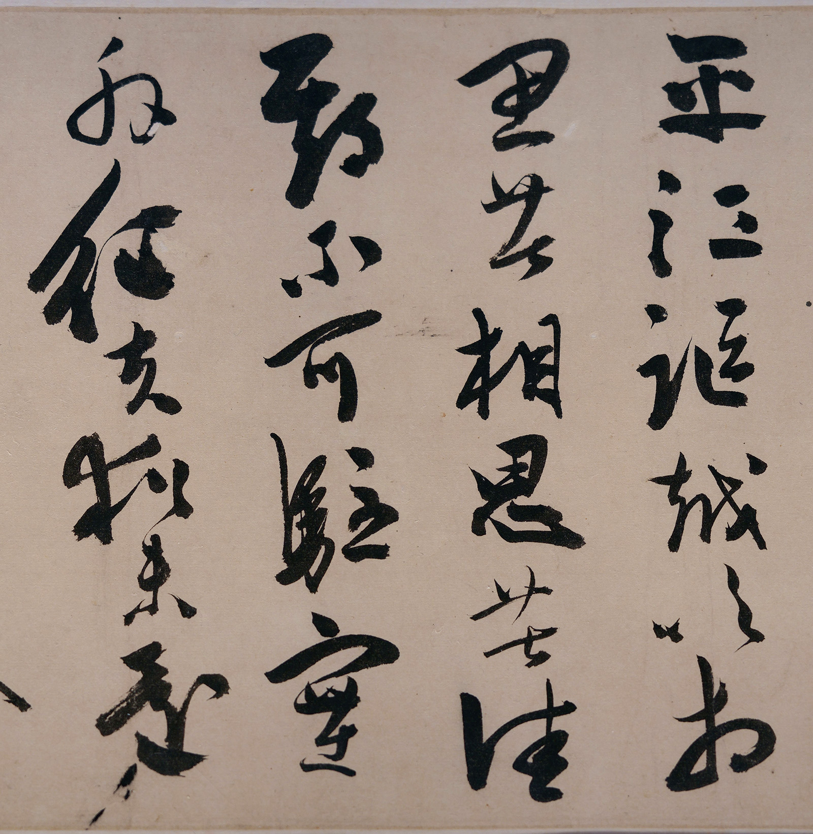�µ����в��顶��������