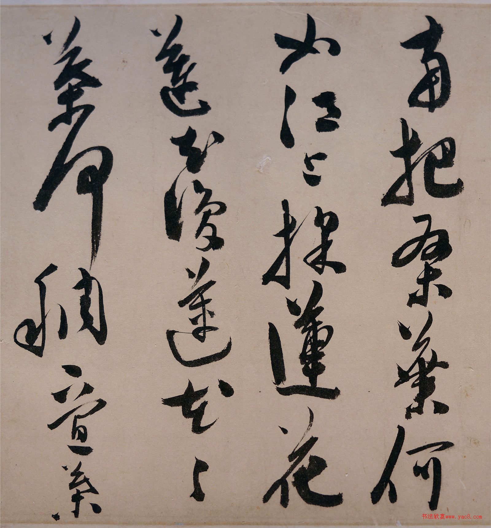�µ����в��顶��������
