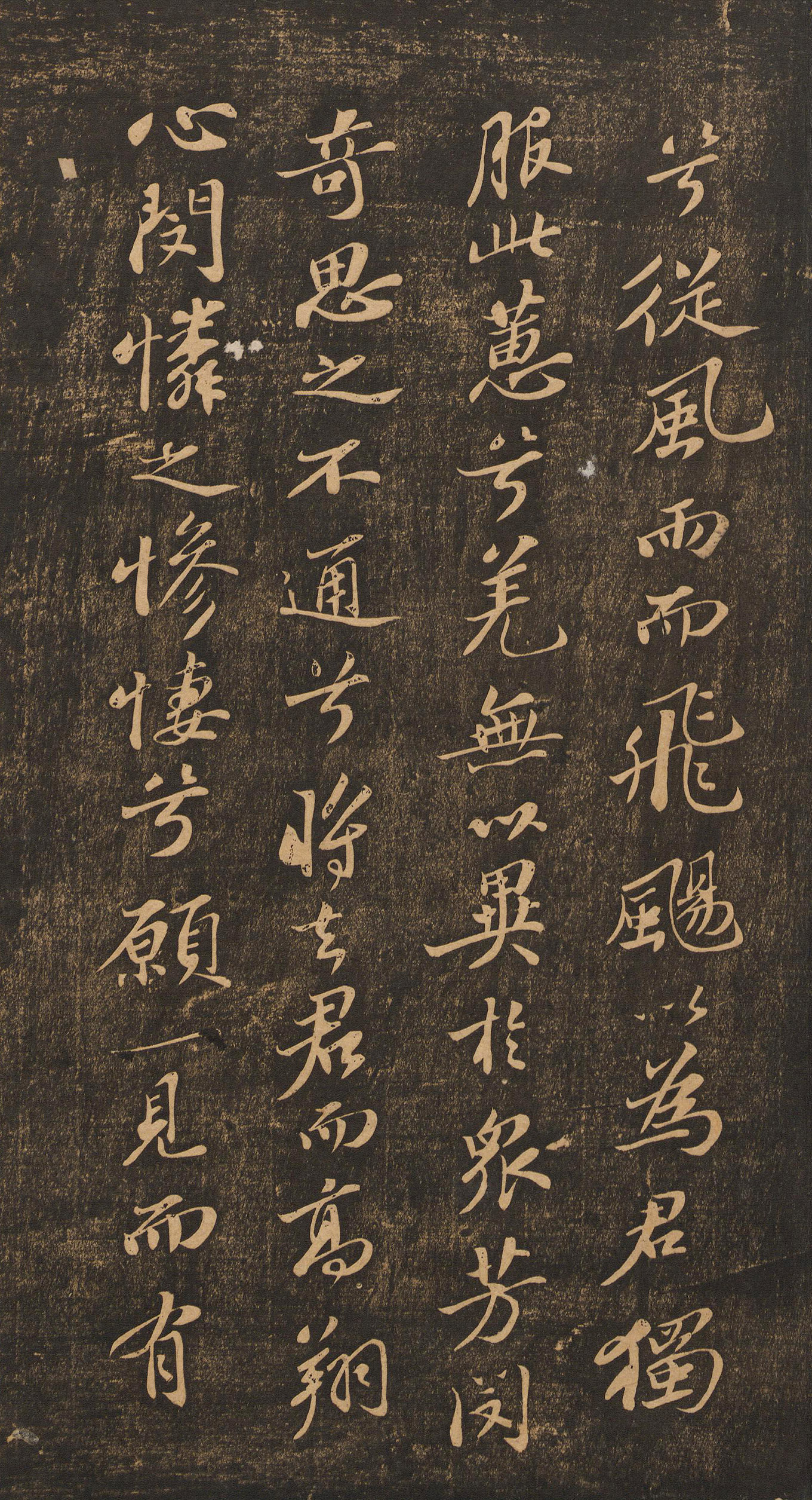 �������顶�ű硷�ر�