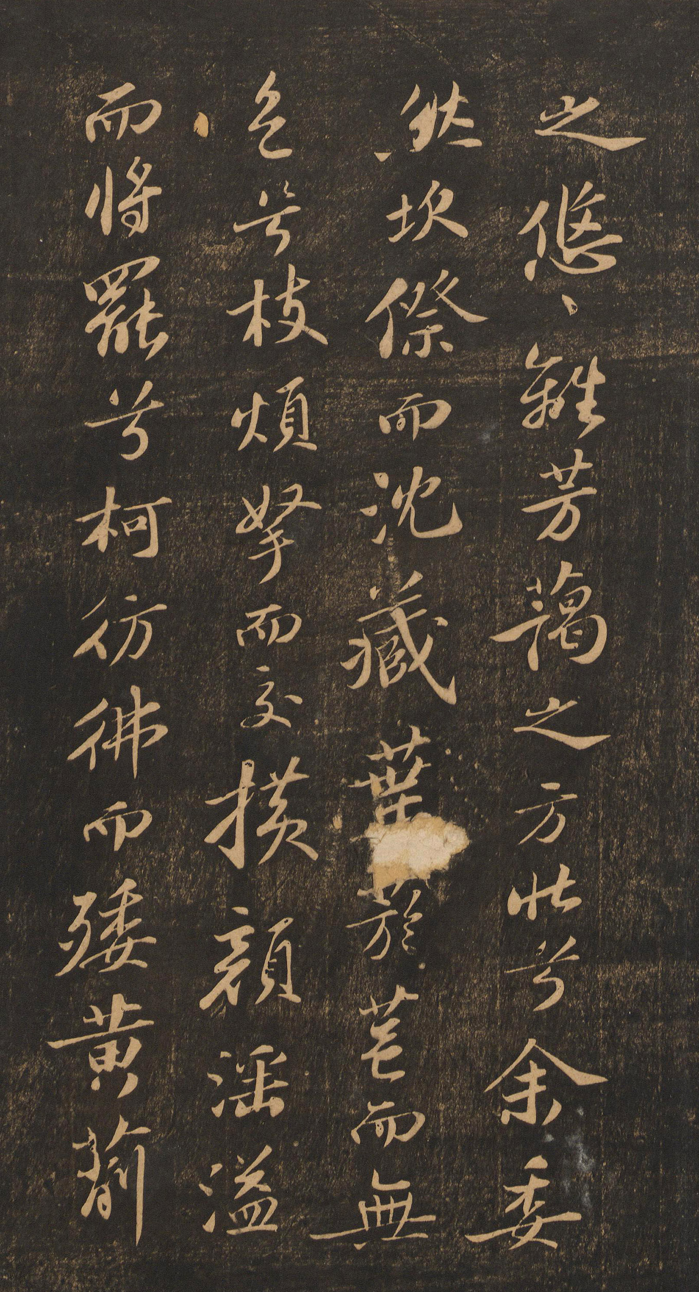 �������顶�ű硷�ر�