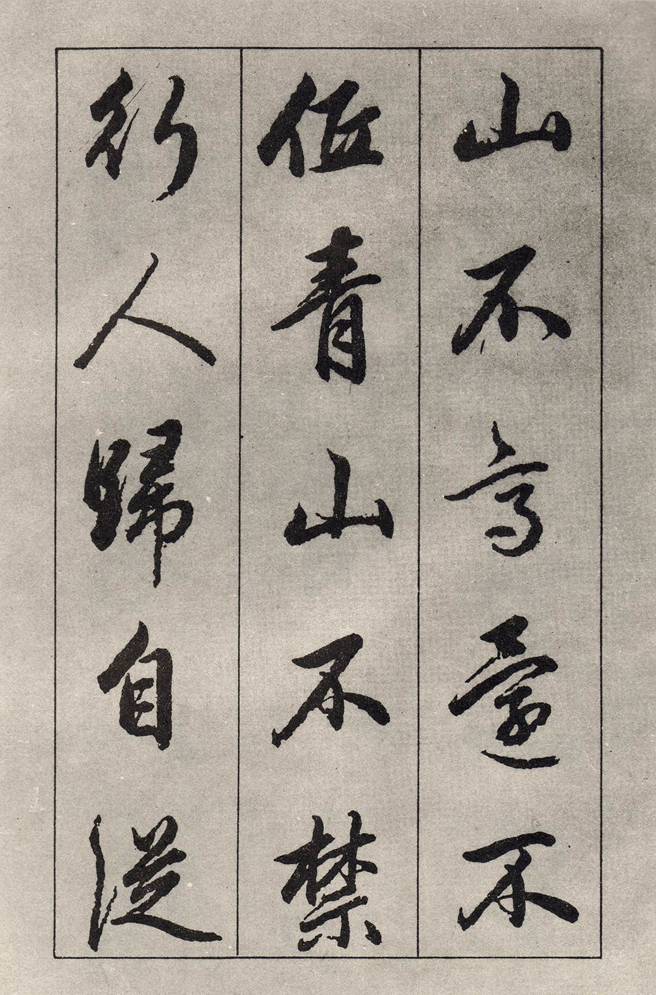 �����\���顶��ɽ��������
