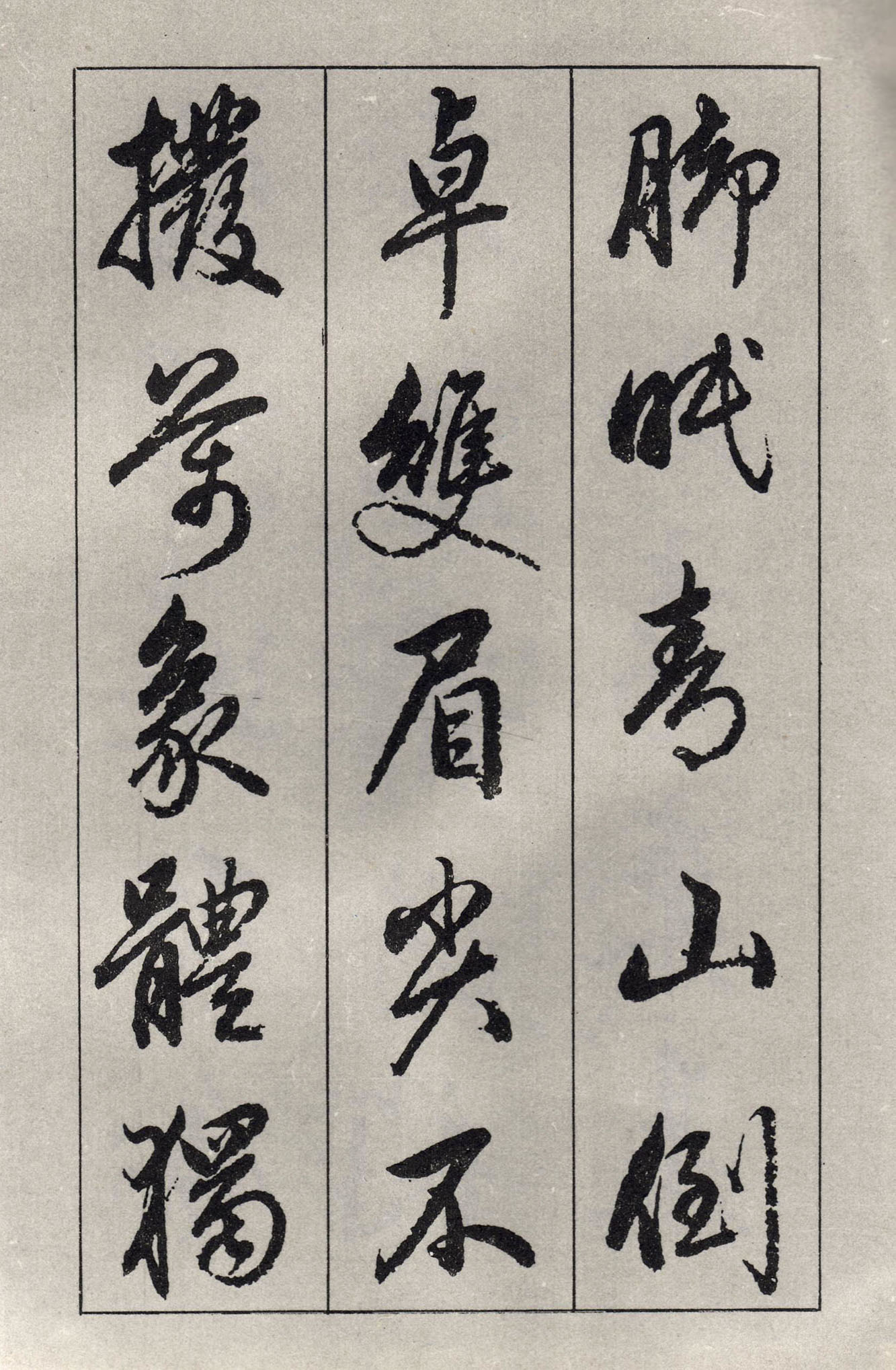 �����\���顶��ɽ��������