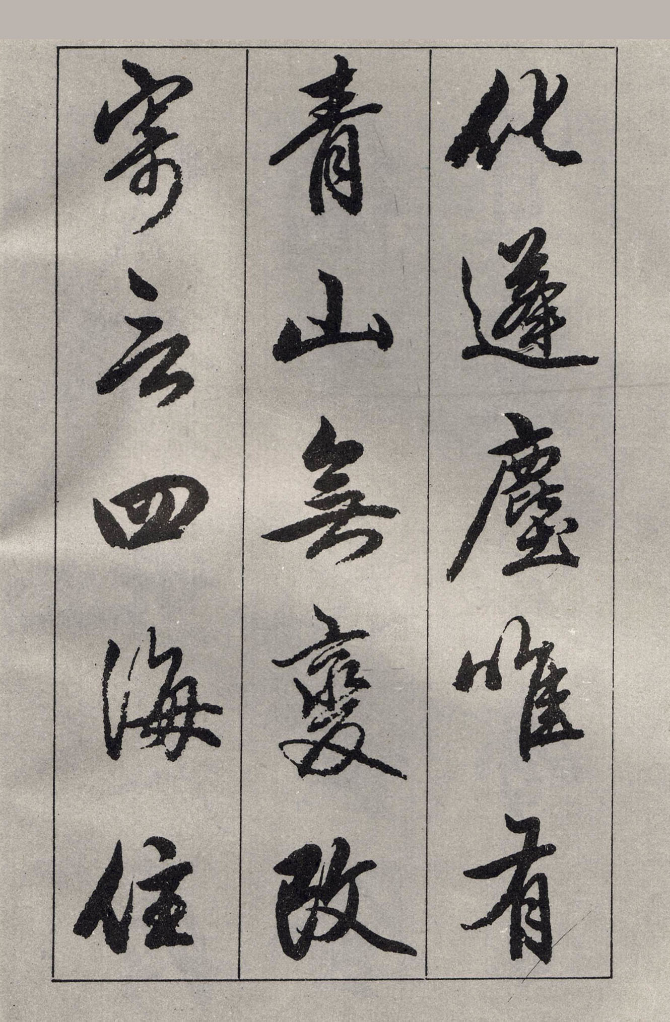 �����\���顶��ɽ��������