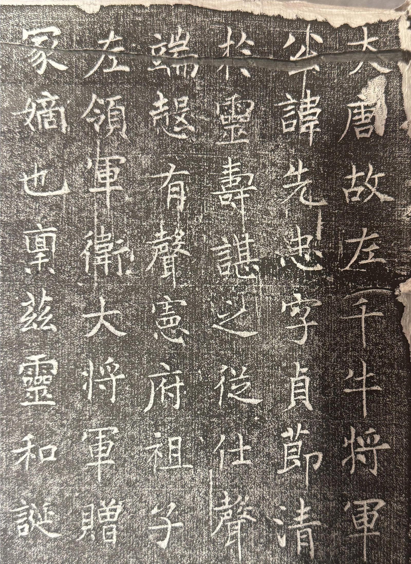 Ѧ𢿬�顶������Ĺ־��