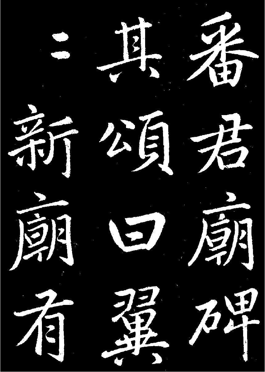 �����\���顶������������