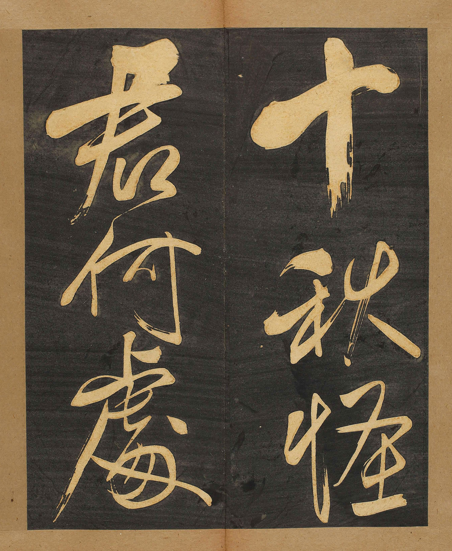 �����вݷ��顶�����������ձ��أ�
