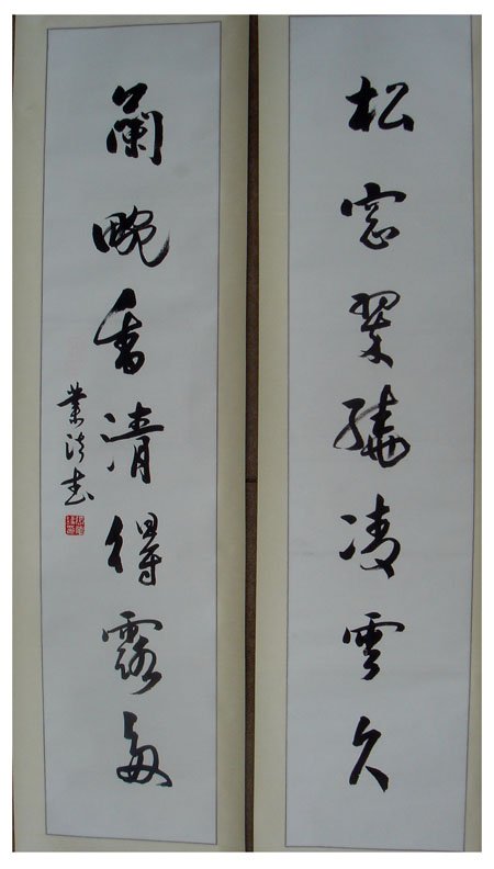 张业法书法作品欣赏(4)