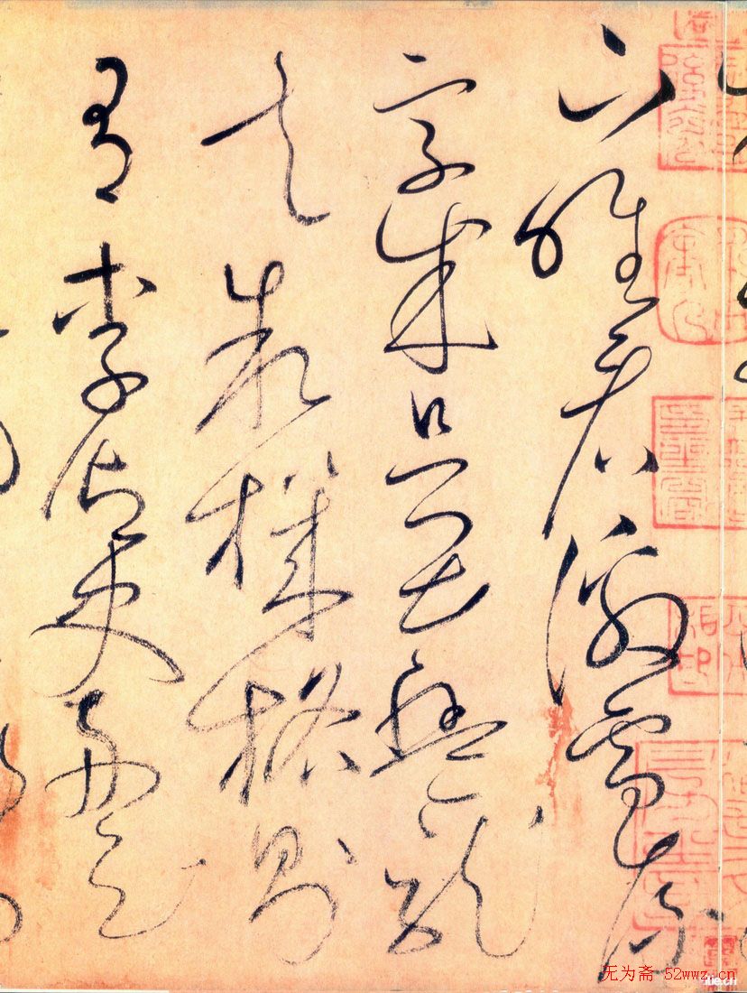 ز顶鷨ͼƬ45P