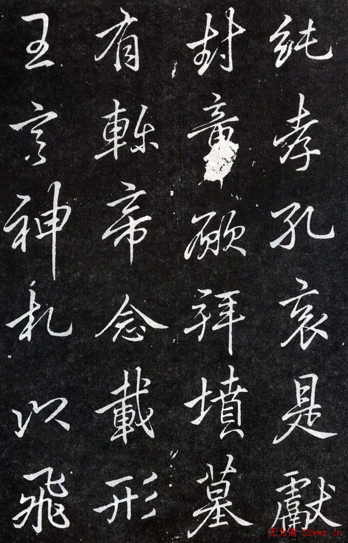 鷨Ʒ͡Ҷе