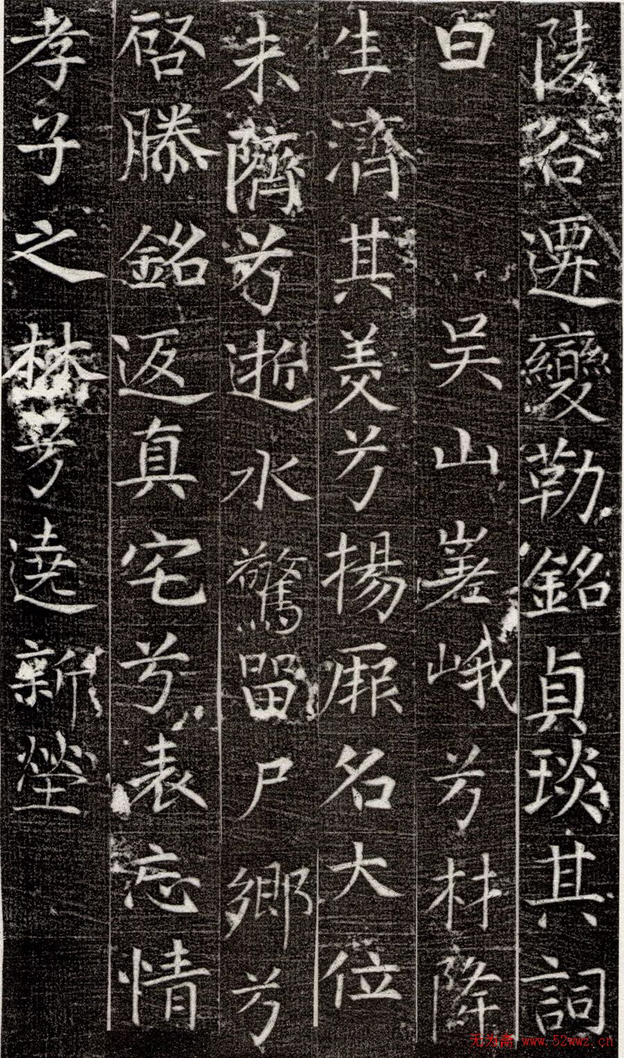 鷨͡Ĺ־