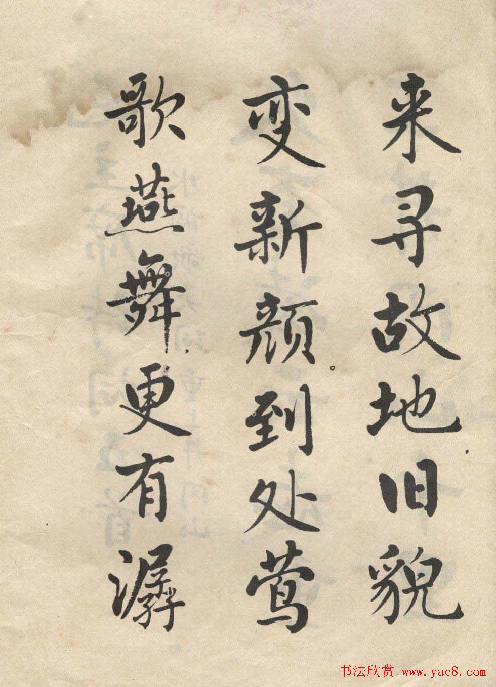 鷨ͼ͡ᡷ
