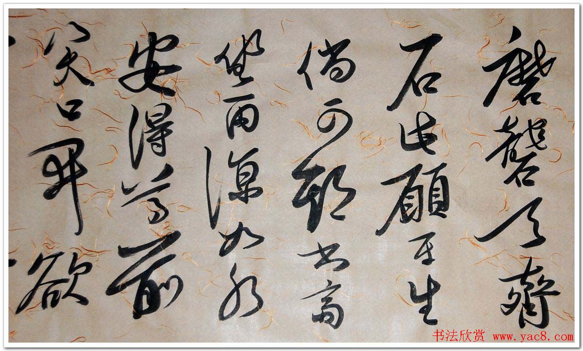 в鷨־
